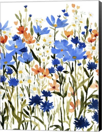 Framed Bright Wildflower Medley I Print