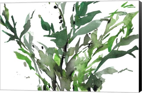 Framed Just the Leaves II Print