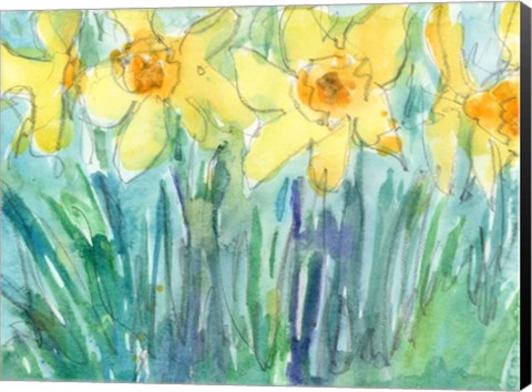 Framed Daffodil Blooms I Print