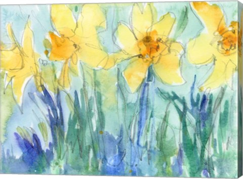 Framed Daffodil Blooms II Print