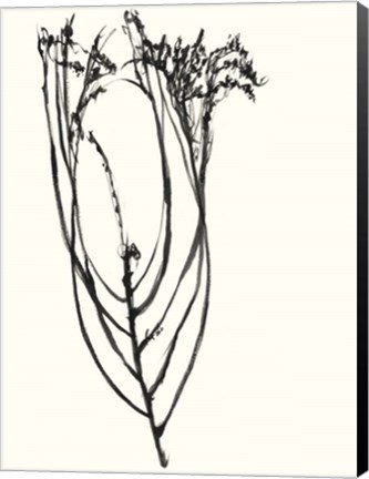 Framed Naive Flower Sketch I Print