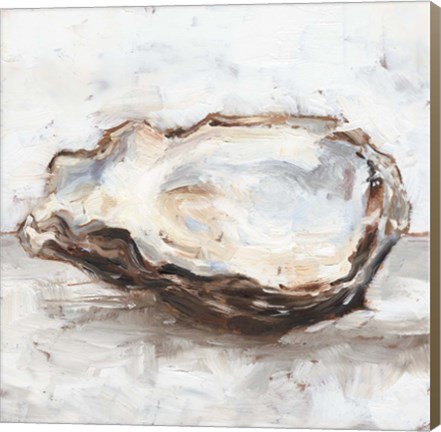 Framed Oyster Study II Print