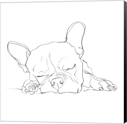 Framed French Bulldog Contour I Print