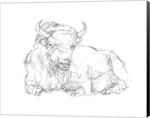 Framed Bison Contour Sketch II Print