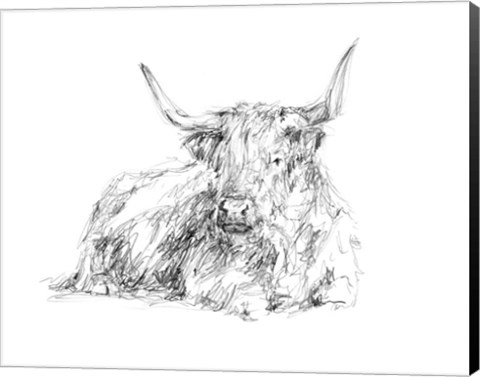 Framed Highland Cattle Sketch I Print