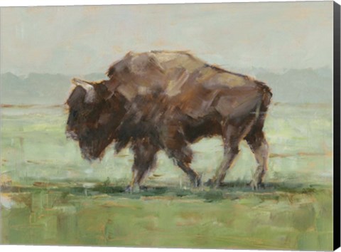 Framed Where the Buffalo Roam II Print