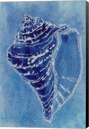 Framed Cerulean Shells I Print