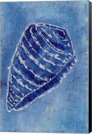 Framed Cerulean Shells II Print
