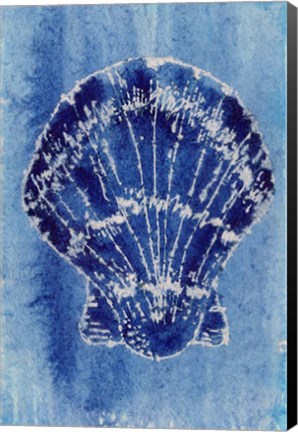 Framed Cerulean Shells VI Print