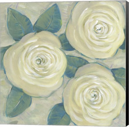 Framed Roses in Bloom II Print