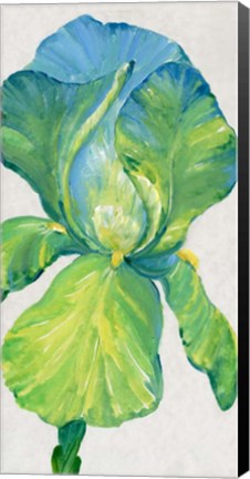 Framed Iris Bloom in Green II Print