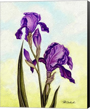 Framed Irises Print