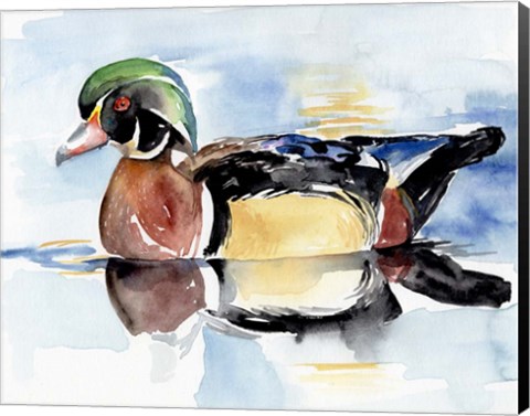 Framed Watercolor Woodduck I Print