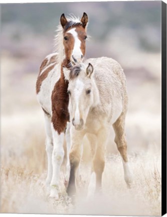 Framed Collection of Horses X Print