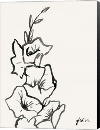 Framed Gladiola Sketch III Print