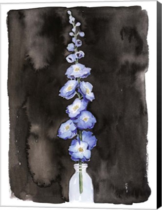 Framed Blue Delphinium II Print