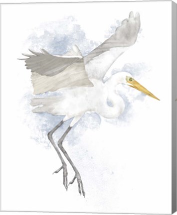 Framed Coastal Heron II Print