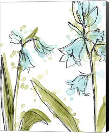 Framed Spring Contours IV Print