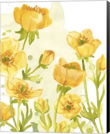 Framed Sunshine Meadow II Print