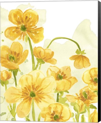 Framed Sunshine Meadow III Print