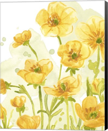 Framed Sunshine Meadow IV Print