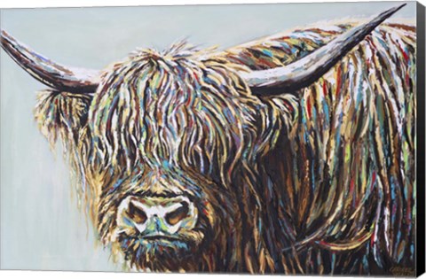 Framed Woolly Highland I Print