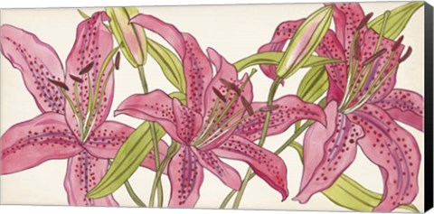 Framed Pink Lilies II Print