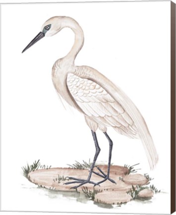 Framed White Heron I Print