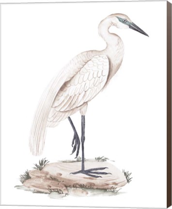 Framed White Heron IV Print