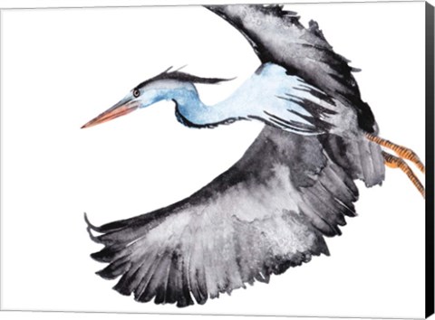 Framed From the Sky IV Print