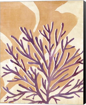 Framed Chromatic Sea Tangle II Print