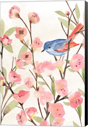 Framed Cherry Blossom Perch II Print