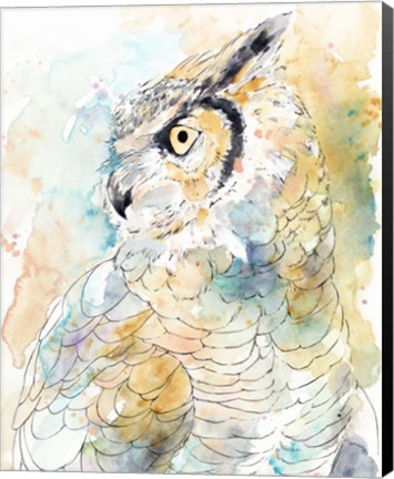 Framed Owl Majestic I Print