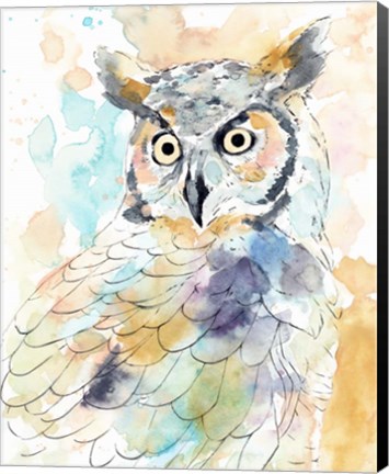 Framed Owl Majestic II Print