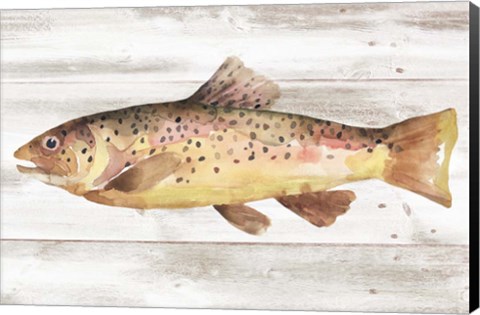 Framed Spotted Trout I Print