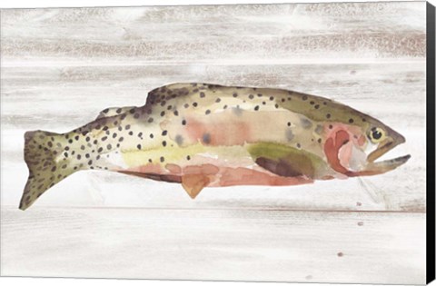 Framed Spotted Trout II Print