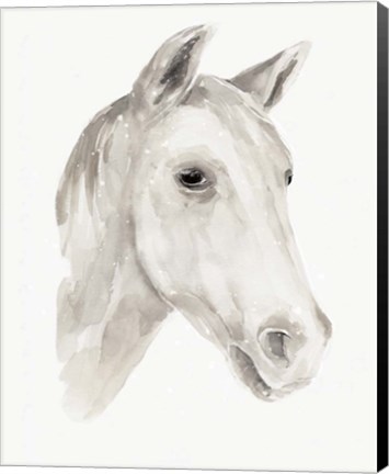 Framed Ivory Stallion I Print