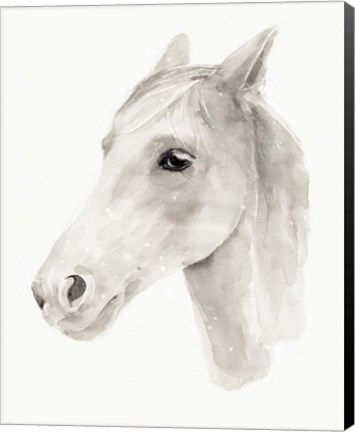 Framed Ivory Stallion II Print