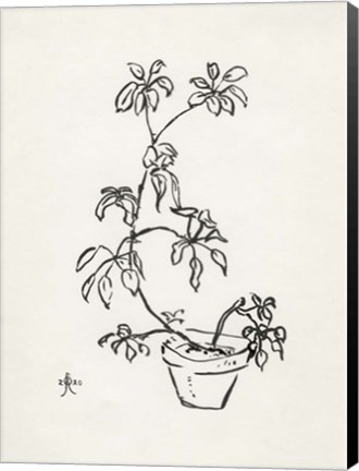Framed Floral Ink Study I Print