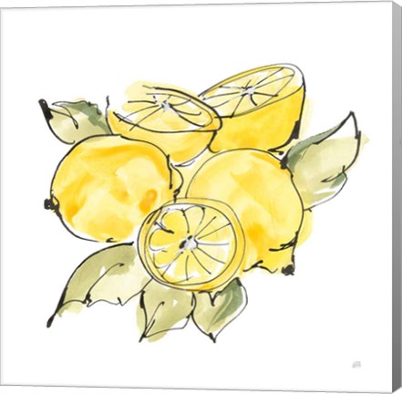 Framed Lemon Still Life IV Print