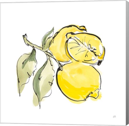 Framed Lemon Still Life II Print