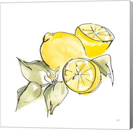 Framed Lemon Still Life I Print