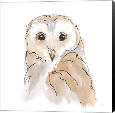 Framed Barn Owl II Print