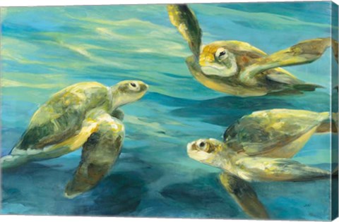 Framed Sea Turtles Print