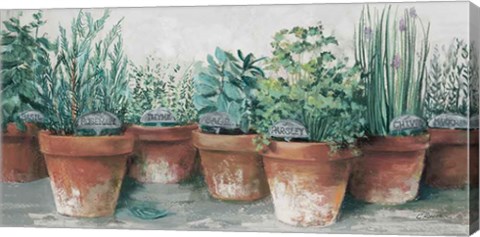 Framed Pots of Herbs II Cottage Print