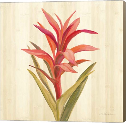 Framed Tropical Garden III Print