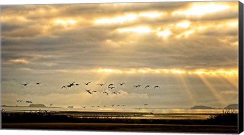 Framed Sunrise on The Estuary Print