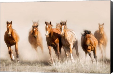 Framed Outlaws Print