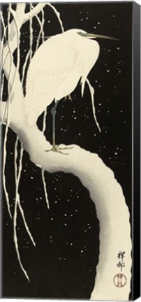 Framed Snowy Egret, 1925-1936 Print