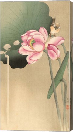 Framed Songbird and Lotus, 1900-1936 Print